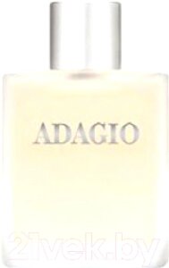 Туалетная вода Dilis Parfum Adagio