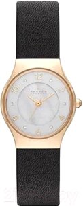 Часы наручные женские Skagen SKW2209