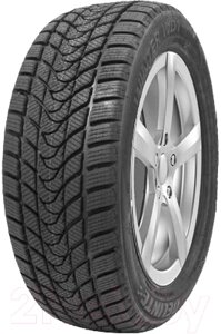 Зимняя шина Delinte Winter WD1 235/45R18 98H