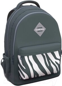 Школьный рюкзак Erich Krause EasyLine 20L Light Grey Zebra / 60311