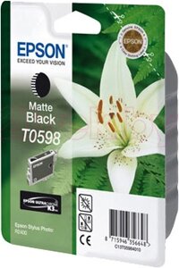 Картридж Epson C13T05984010