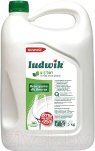 Средство для мытья посуды Ludwik Мята