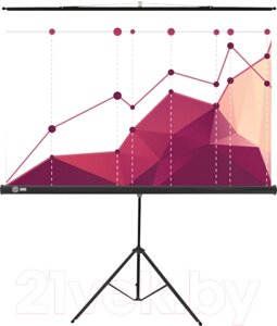 Проекционный экран Cactus CS-PST-180X180