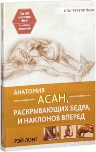 Книга Попурри Анатомия асан, раскрывающих бедра, и наклонов вперед