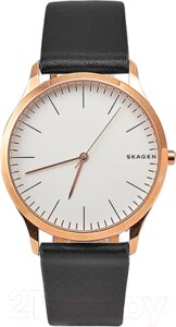 Часы наручные мужские Skagen SKW1102