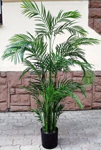 Искусственное растение ForGarden Дерево Areca Palm / FGN BF01709