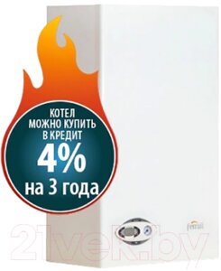 Газовый котел Ferroli Divabel F24