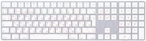 Клавиатура Apple Magic Keyboard / MQ052RS/A