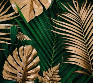 Фотообои листовые Vimala Золотые листья