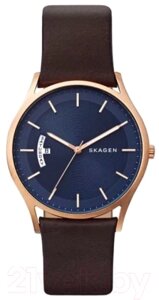 Часы наручные мужские Skagen SKW6395