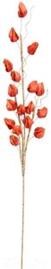Искусственный цветок Вещицы Физалис осенний aj-55