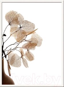 Постер Мирам Живой гербарий. Сухоцвет в вазе / 230401610