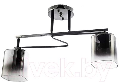 Потолочный светильник Aitin-Pro НПБ 02-2x60-101 / A4057/2 от компании Бесплатная доставка по Беларуси - фото 1
