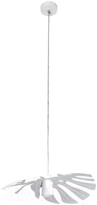 Потолочный светильник Элетех Монстера 211 НСБ 01-60-166 Е27 / 1005405156 от компании Бесплатная доставка по Беларуси - фото 1