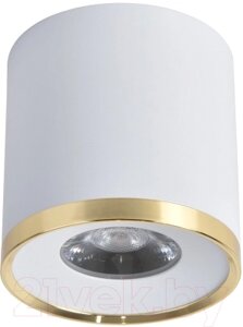 Потолочный светильник FAVOURITE 3085-2C