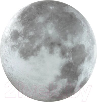 Потолочный светильник Sonex Moon 3084/CL от компании Бесплатная доставка по Беларуси - фото 1