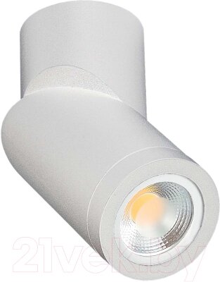 Потолочный светильник ST Luce ST650.502.01 от компании Бесплатная доставка по Беларуси - фото 1