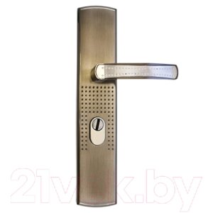 Ручка дверная Аллюр Стандарт РН-СТ222-1-L