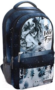 Рюкзак Erich Krause ActiveLine Ergoback 22L Timber Wolf / 60148