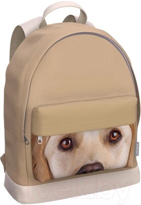 Рюкзак Erich Krause StreetLine 17L Beige Dog / 60905 от компании Бесплатная доставка по Беларуси - фото 1