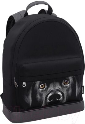 Рюкзак Erich Krause StreetLine 17L Black Dog / 60349 от компании Бесплатная доставка по Беларуси - фото 1