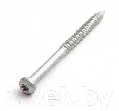 Саморез ЕКТ TORX25 6.1x100 2-хзаходная резьба / CV011722 от компании Бесплатная доставка по Беларуси - фото 1