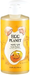 Шампунь для волос Daeng Gi Meo Ri EGG Planet Keratin Shampoo