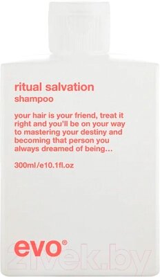 Шампунь для волос Evo Ritual Salvation Repairing Shampoo Для окрашенных волос от компании Бесплатная доставка по Беларуси - фото 1