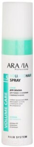 Спрей для волос Aravia Professional Volume Hair Spray склонных к жирности волос
