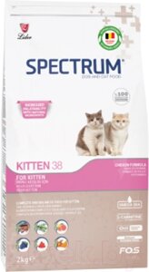 Сухой корм для кошек Spectrum Kitten38 для котят с курицей