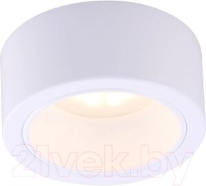 Светильник Arte Lamp Effetto A5553PL-1WH