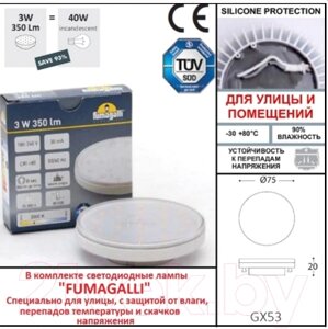 Светильник уличный Fumagalli Leti 2C3.000.000. LYG1L