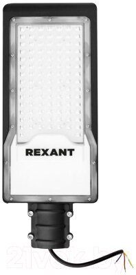 Светильник уличный Rexant ДКУ 01-100-5000К-ШС IP65 / 607-301 от компании Бесплатная доставка по Беларуси - фото 1