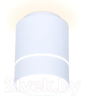 Точечный светильник Ambrella TN256 WH/S от компании Бесплатная доставка по Беларуси - фото 1