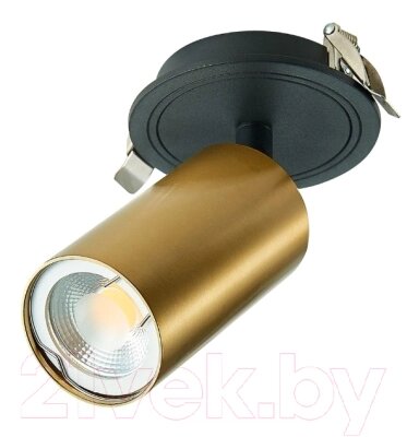 Точечный светильник ST Luce ST303.208.01 от компании Бесплатная доставка по Беларуси - фото 1