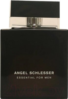 Туалетная вода Angel Schlesser Essential Men от компании Бесплатная доставка по Беларуси - фото 1