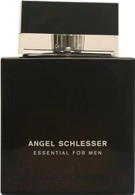 Туалетная вода Angel Schlesser Essential Men
