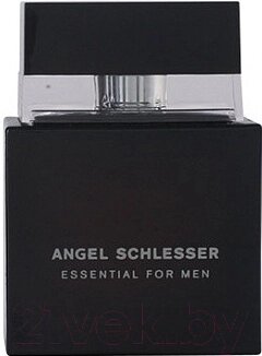 Туалетная вода Angel Schlesser Essential Men от компании Бесплатная доставка по Беларуси - фото 1