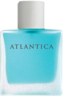 Туалетная вода Dilis Parfum Atlantica Alpha&Omega от компании Бесплатная доставка по Беларуси - фото 1