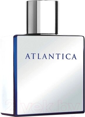 Туалетная вода Dilis Parfum Atlantica Mercury от компании Бесплатная доставка по Беларуси - фото 1