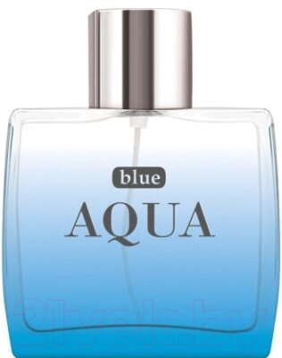 Туалетная вода Dilis Parfum Blue Aqua от компании Бесплатная доставка по Беларуси - фото 1