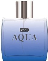 Туалетная вода Dilis Parfum Cool Aqua от компании Бесплатная доставка по Беларуси - фото 1