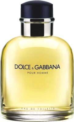 Туалетная вода Dolce&Gabbana Pour Homme от компании Бесплатная доставка по Беларуси - фото 1