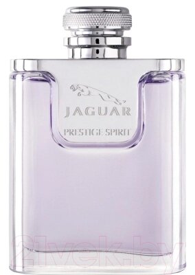 Туалетная вода JAGUAR Prestige Spirit от компании Бесплатная доставка по Беларуси - фото 1