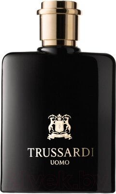 Туалетная вода Trussardi Uomo от компании Бесплатная доставка по Беларуси - фото 1