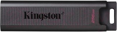 Usb flash накопитель Kingston Data Traveler Max 256Gb (DTMAX/256GB) от компании Бесплатная доставка по Беларуси - фото 1