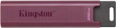 Usb flash накопитель Kingston Data Traveler Max 256Gb (DTMAXA/256GB) от компании Бесплатная доставка по Беларуси - фото 1