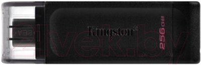 Usb flash накопитель Kingston DataTraveler 70 256GB (DT70/256GB) от компании Бесплатная доставка по Беларуси - фото 1