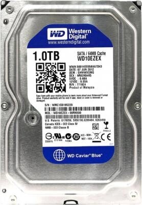 Жесткий диск Western Digital Caviar Blue 1TB (WD10EZEX) от компании Бесплатная доставка по Беларуси - фото 1