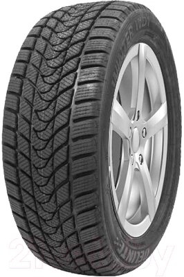 Зимняя шина Delinte Winter WD1 185/60R14 82H от компании Бесплатная доставка по Беларуси - фото 1